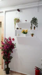 Güneş Apart Eskişehir öğrenci apartı fotoğrafı